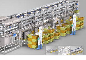 Грейдер Marelec для сортировки рыбы по весу и сбора короба с фиксированным весом