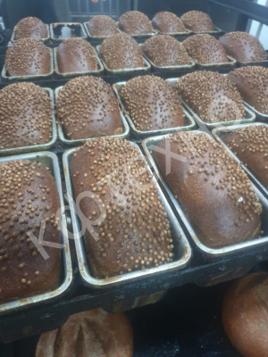 Корпусная камера вакуумного охлаждения хлеба КФТЕХНО (Россия)