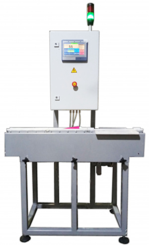 Чеквейеры (системы динамического взвешивания)