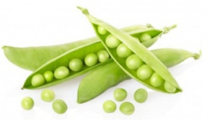 Флотационная машина, для мойки, сортировки гороха, фасоли