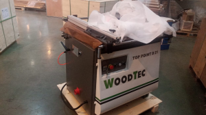 Станок сверлильно-присадочный WoodTec TOP POINT D 21