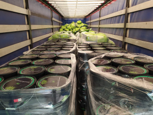 Гидропосевная смесь GrowMix (ГроуМикс)