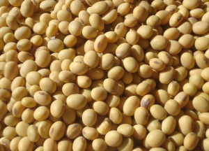 Дозатор весовой для фасовки замороженных резанных овощей, фруктов, ягод