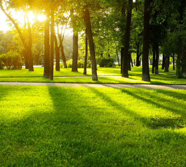 Готовые смеси для гидропосева ГРОУМИКС