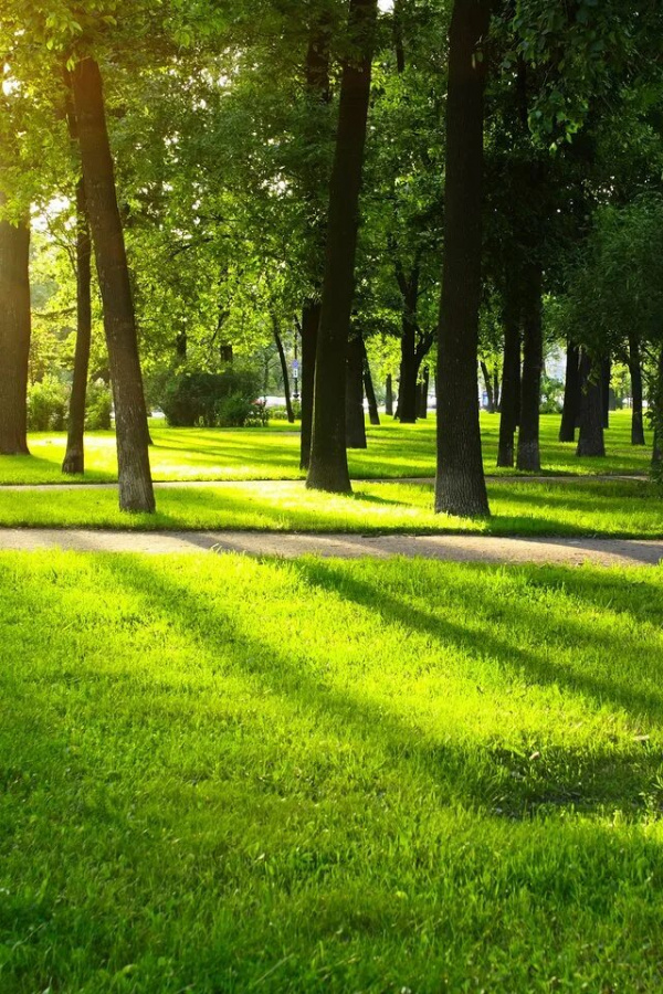 Компоненты для гидропосева ГМ