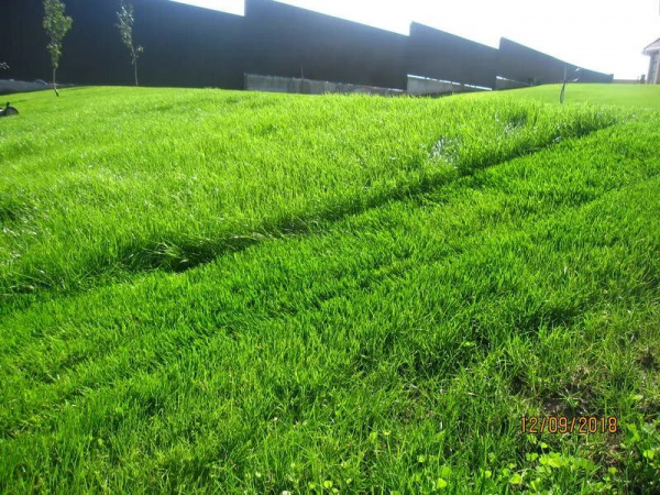 Материалы для гидропосева оптом и в розницу