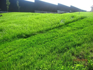 Материалы для гидропосева оптом и в розницу