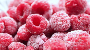 Комплексная линия шоковой заморозки овощей, фруктов, ягод