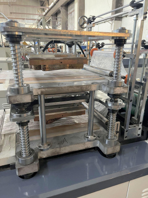 Линия по производству пленочных перчаток RUIAN QUEENSENSE MACHINE DHB-500