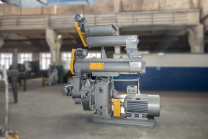 Пресс-гранулятор редукторный, ДГ-3000МХ(508)н-160