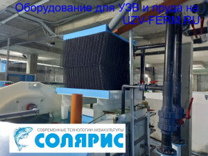 Узв на 1 тонну форели в год