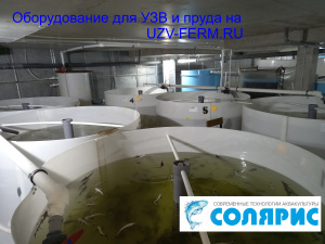 Узв на 1 тонну форели в год