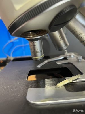 Профессиональный Микроскоп Leica DM LS2