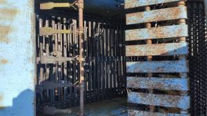 Картофелеуборочный комбайн Anna Z-644 (Анна 644)