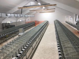 Колесная машина гаважа КМГ-600