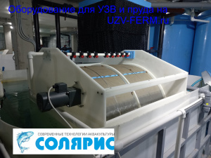 Узв на 500 кг осетра в год