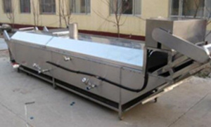 Линию по производству чипсов овощных и фруктовых