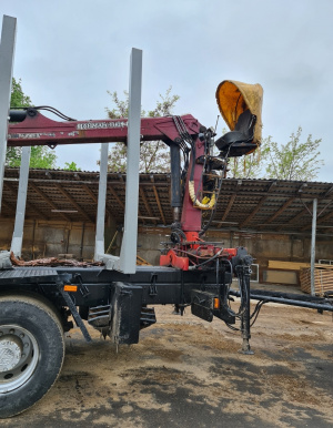 Сортиментовоз МАЗ 631208-226-012 с гидроманипулятором в сцепке с прицепом МАЗ 892620-010