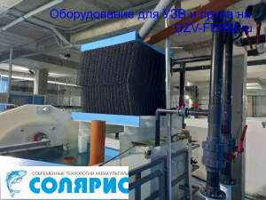 УЗВ на 25 тонн осетра в год