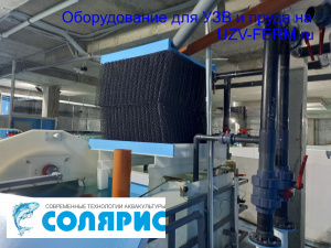 УЗВ на 50 тонн осетра в год