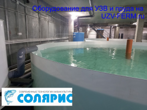 УЗВ на 10 тонн осетра в год