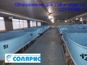 УЗВ на 50 тонн осетра в год