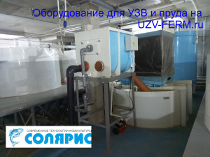 УЗВ на 50 тонн осетра в год