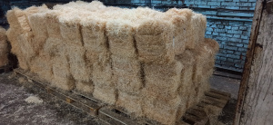 Станок древошерстный СД-3