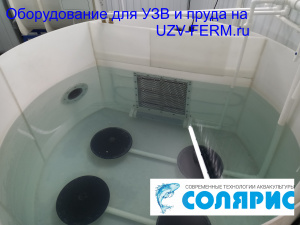 УЗВ на 50 тонн осетра в год