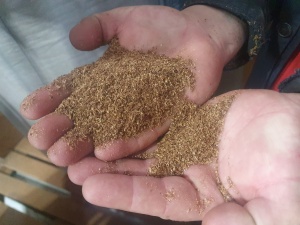 Линия оборудование по сушке пивной дробины, спиртовой барды, кека, фугата, DDGS