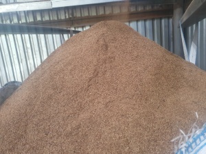 Линия оборудование по сушке пивной дробины, спиртовой барды, кека, фугата, DDGS