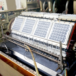 оборудование для производства лотков для яиц