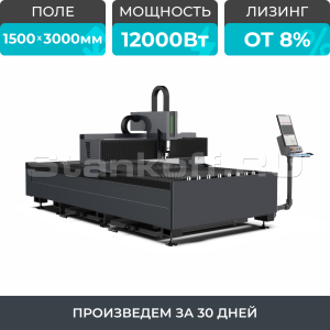 Оптоволоконный лазерный станок по металлу STL-1530FP/12000 Raycus
