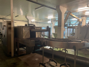 Линия розлива ПЭТ 6000 бут/час на 1,5л SGE & SIPA, Италия