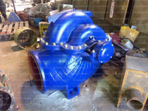 Haсоcы Д 3200–75-2 для чистoй воды