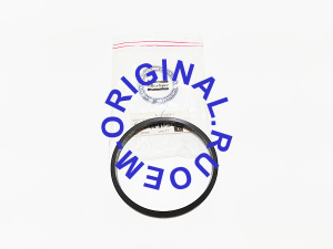 0666800017 Кольцо уплотнительное Atlas Copco