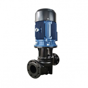 Вертикальный насос CNP TD100-27/2SWHCJ