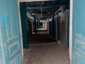 Инкубаторы