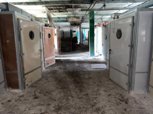 Инкубаторы