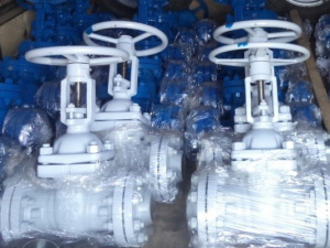 Задвижка 30лс15нж Ду 250 Ру 40