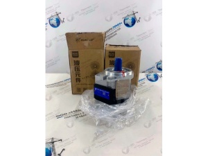 CBHZG-F32-ALH6L Насос с зубчатой передачей Zhengzhou Kaishan