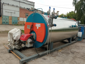 Промышленный паровой котел WNS2-1.25-Y(Q)