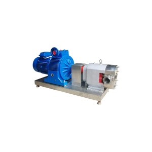 Роторно-лопастной насос для перекачивания арахисовой пасты TR-I-45