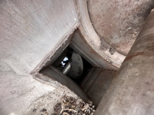 Бланширователь двухкорпусной