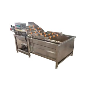 Линия мойки ореха JP-500