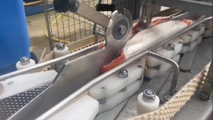 Филетировочная машина Carnitech CT2611