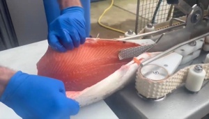 Филетировочная машина Carnitech CT2611