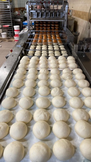 Линия для берлинеров