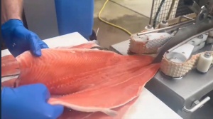 Филетировочная машина Carnitech CT2611