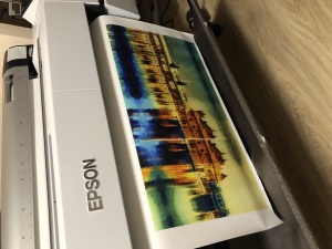 Профессиональный плоттер Epson SureColor SC-P20000